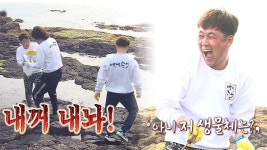 마라도 박서방, 유치찬란 군벗 쟁탈전! | ZUM TV