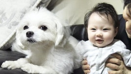 봄이를 괴롭히는 스트레스 원인 ‘아기 소민이’ | ZUM TV