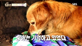 할머니의 체취를 가슴에 품은 뚱이의 애달픈 기다림 | ZUM TV