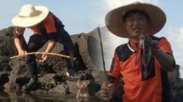 마법 같은 제주도 고망낚시 달인 | ZUM TV
