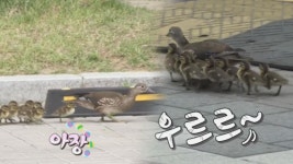 뷰를 최대한 살린~ 인왕산을 마주한 주방?! (하우스) : TV줌 뷰를 최대한 살린~ 인왕산을 마주한 주방?! (하우스)