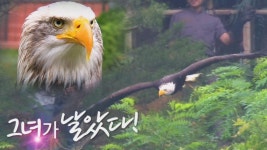 백설이, 하늘 날다! 흰머리 수리 ‘백설이’의 고공비행 | ZUM TV
