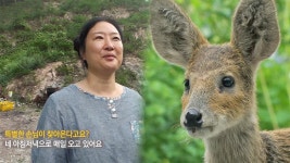 [귀염포텐] 매일 찾아오는 야생 고라니?!! | ZUM TV