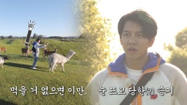 이승기, 동물들에게 눈 뜨고 두 번이나 당한 ‘어린 양’ | ZUM TV