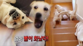 가수 이상우의 눈과 귀가 맑아지는 대관령 ‘힐링 카페’ (하우스) : TV줌 가수 이상우의 눈과 귀가 맑아지는 대관령 ‘힐링 카페’ (하우스)