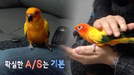 [연말결산] 다시 돌아온 분노의 아이콘, ‘태양이’ A/S 대작전! | ZUM TV