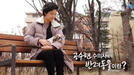 새로운 삶의 시작을 돕는~ 공수현 수의사에게 ‘반려동물’이란? | ZUM TV