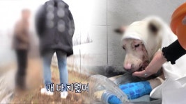 40년 전통의 맛! 옥천 짬뽕 달인의 짬뽕 맛 : TV줌 40년 전통의 맛! 옥천 짬뽕 달인의 짬뽕 맛