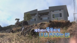 제주에서 똑똑하게 내 집 관리 하는법! | ZUM TV