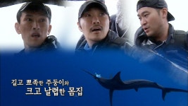 유오성×KCM×최자, 세상에서 가장 빠른 물고기 잡을수 있을까? | ZUM TV