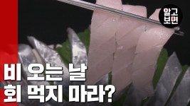 식중독? 패혈증? 비 오는 날 회 먹으면 정말 안될까? | ZUM TV