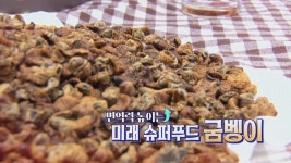 면역력 높이는 미래 슈퍼푸드 굼벵이! | ZUM TV