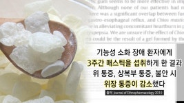 위 건강 도움주는 ‘매스틱’ | ZUM TV