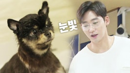이태성, 의젓한 반려견 ‘카오 목욕기’ | ZUM TV