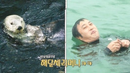 김병만, 못 잡던 해삼과 전복 수확 기념으로 보여준 ‘해달 세리머니’ | ZUM TV