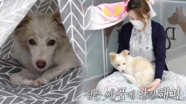 ‘카카두 플럼’ 8살 젊어 보이게 하는 묘약! (닥터필생기) : TV줌 ‘카카두 플럼’ 8살 젊어 보이게 하는 묘약! (닥터필생기)