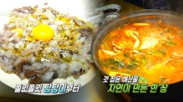 갯벌에서 직접 잡은 낙지로 요리해서 먹는 ‘화성 입파도’ | ZUM TV