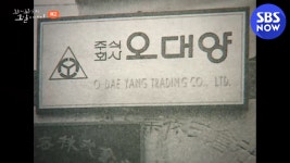 [꼬꼬무] 예고 침묵의 4박 5일 오대양 집단 변사 사건 | SBS NOW | ZUM TV