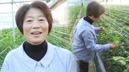농민들 위한 로컬 마켓 ‘진주 텃밭’ | ZUM TV