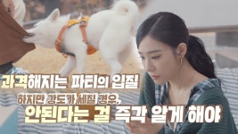 티파니 영, 갑작스러운 파티의 입질에 이찬종 소장님 SOS! | ZUM TV