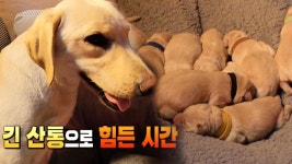 갱년기 극복하는 일상 꿀팁! ‘사.다.리’ (수요일N스타일) : TV줌 갱년기 극복하는 일상 꿀팁! ‘사.다.리’ (수요일N스타일)