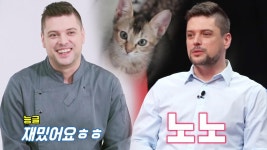 ‘낭만 백수’ 미카엘, 식당 재오픈 포기! 처가살이 ing | ZUM TV