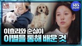 [TV 동물농장] 요약 이효리와 순심이의 3467일간의 기록! 이별을 통해 깨달은 것들 / Animal Farm Special | SBS NOW | ZUM TV