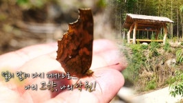 아련한 옛 추억이 담긴 곳, 오지 기행 ‘샛골’ | ZUM TV