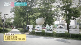 경춘선 숲길로 떠나는 나들이 | ZUM TV