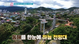 에메랄드 빛 동해바다가 한눈에! ＜도째비골 스카이밸리＞ | ZUM TV