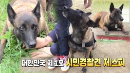 대한민국 최초 ‘시민 경찰견 1호’ 제스퍼★ | ZUM TV