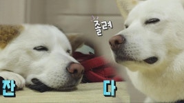 ‘장운동’을 활발하게 해주는 두 가지 동작!  (닥터필생기)
