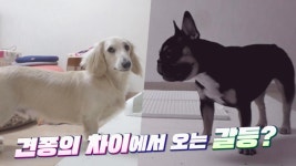둘도 없는 절친에서 순식간에 원수로 돌변하는 ‘빠리×바게트’ | ZUM TV