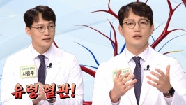 우리 몸의 생명을 지탱해 주는 모세혈관!(황금 장바구니) | ZUM TV