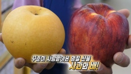 사과×배, 추석에 믿고 먹을 수 있는 우리 과일! | ZUM TV