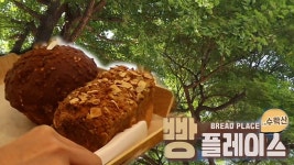 산속 깊은 곳 비밀스럽게 자리 잡은 숲 뷰 빵집 소개! | ZUM TV