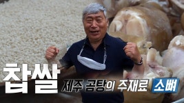 제주 곰탕의 주재료 찹쌀과 소뼈! | ZUM TV