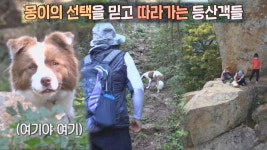 완벽 등산 가이드, 충효사 사찰견 ‘몽이’ | ZUM TV