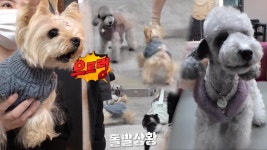 ‘앙숙’ 티코 VS 소망, 보이기만 하면 공격 개시! | ZUM TV