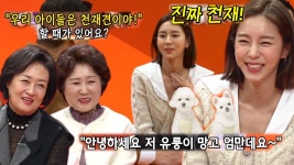“진짜 천재!” 유이, 반려견 ‘유룽이×망고’ 극성 엄마♡ | ZUM TV