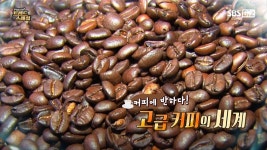 [Pick Up! 트렌드 스페셜] 커피에 반하다! 고급 커피의 세계 | ZUM TV