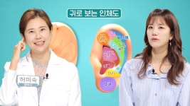 몸의 축소판 귀, 이혈요법으로 보는 전신 건강! (닥터필생기) | ZUM TV