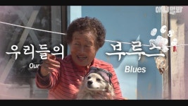 내 평생 단짝 할망 옥자씨.. 요즘 내가 변했다며 동물농장을 불렀다 [우리들의 부루스 1화]ㅣ84-Year-Old Grandma And Senior Dog... 