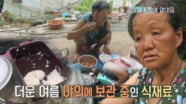 멀쩡한 집이 있지만, 비닐하우스에서 살아가는 아주머니 | ZUM TV
