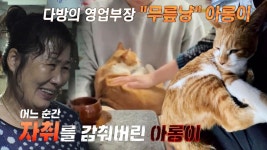 무릎 냥이의 정석, 9년간 키운 개냥이 ‘아롱이’의 가출 | ZUM TV