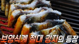 ‘장어구이’ 보양식계 절대 강자의 등장! | ZUM TV