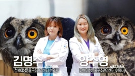 야생동물들의 희망, 야생동물 전문 ‘김명수×양주영’ 콤비! | ZUM TV