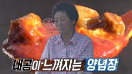 여수 낙지 젓갈 달인의 양념장을 만들기 위한 노력! | ZUM TV