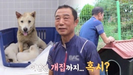 캡사이신 베이비 나와!!!! 역대급 아기 사자 베이비 등장...🦁ㄷㄷ┃A Baby Boy Craving for BLOOD | ZUM TV