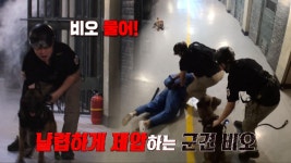 탑독을 막아선 재소자, 날렵하게 제압하는 군견 비오! | ZUM TV